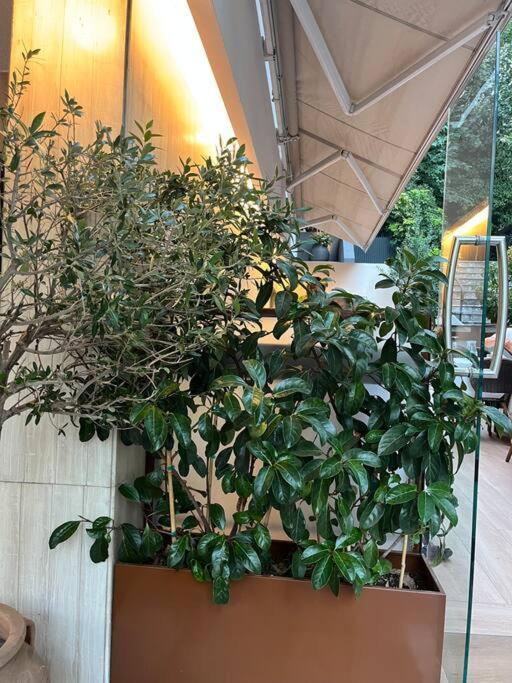 Ksenokratous-Kolonaki Cozy Apartment Athens Ngoại thất bức ảnh
